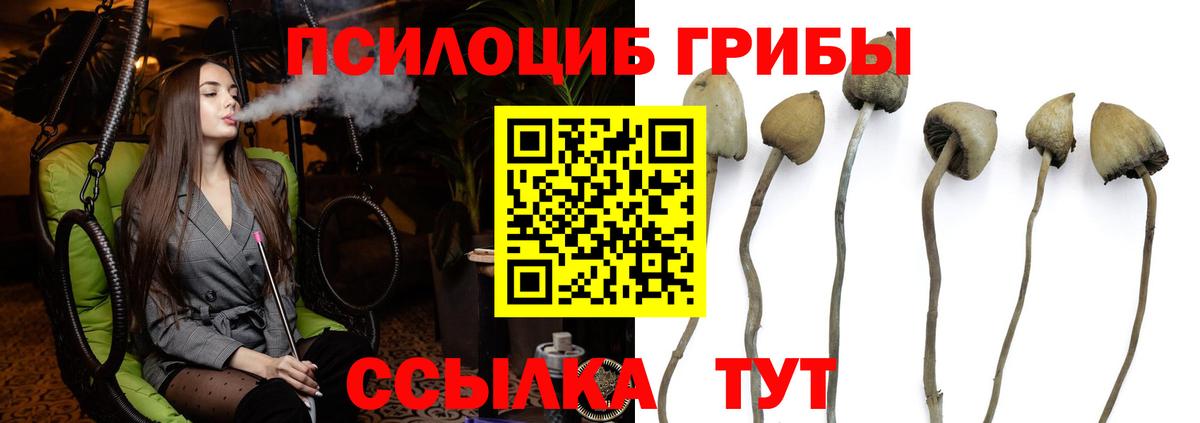 Арзамас  Псилоцибиновые грибы прущие грибы  Вход с VPN  Галлюциногенные грибы прущие грибы 